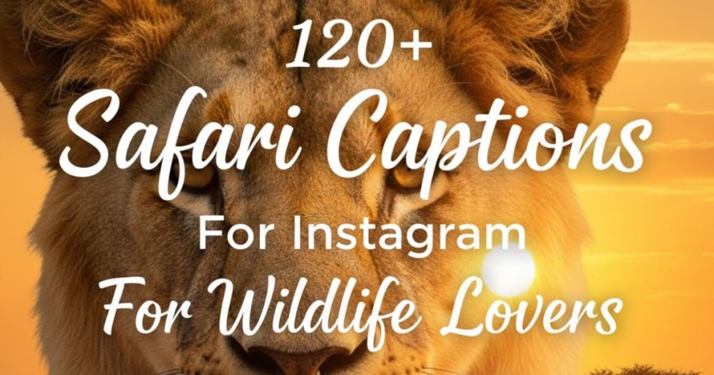 120+ Safari Captions For Instagram For Wildlife Lovers