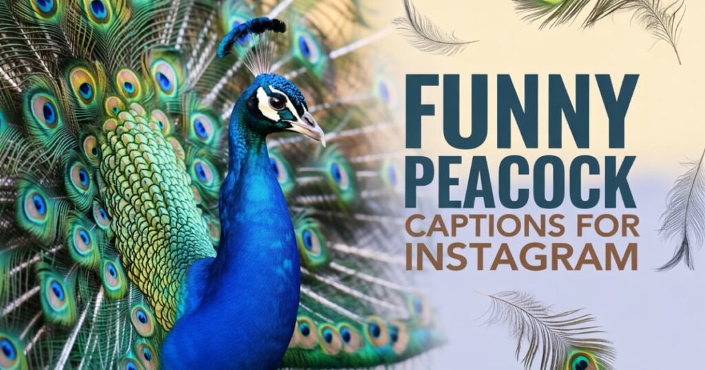 Funny Peacock Captions For Instagram