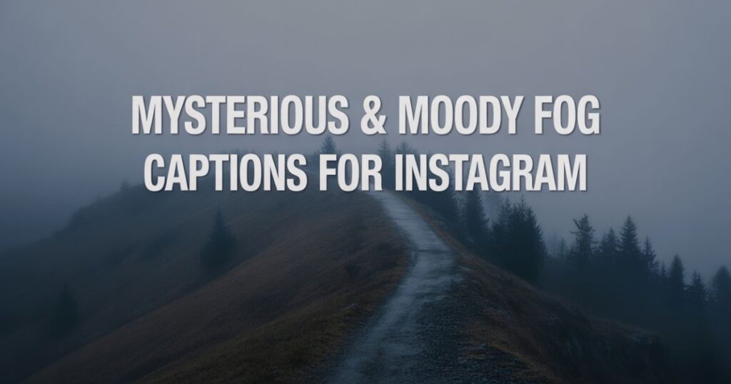 Mysterious & Moody Fog Captions For Instagram