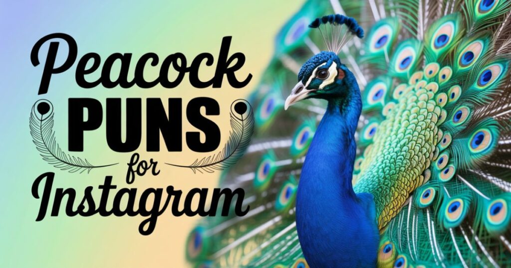 Peacock Puns For Instagram